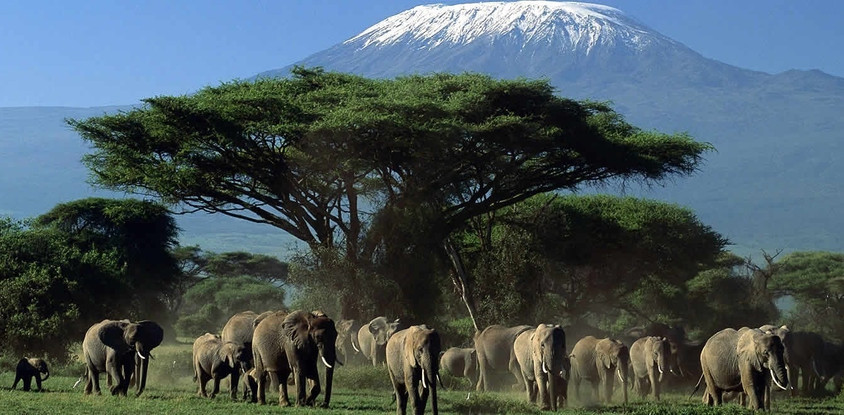 4 Days 3 Nights Amboseli Tsavo East And Tsavo West