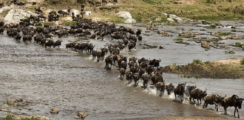 4 days 3 nights lake nakuru and masai mara
