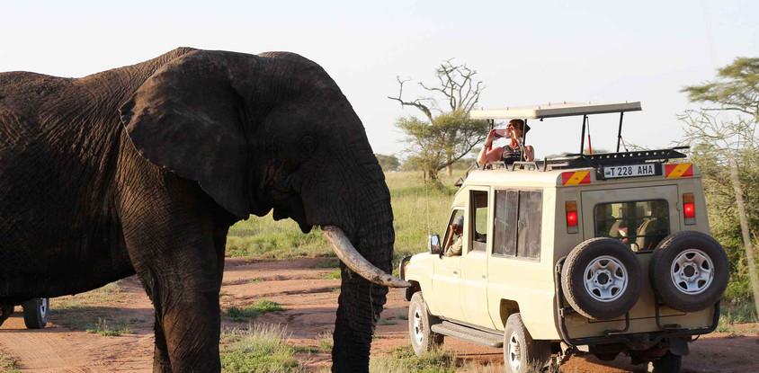 4 days tanzania adventure safari