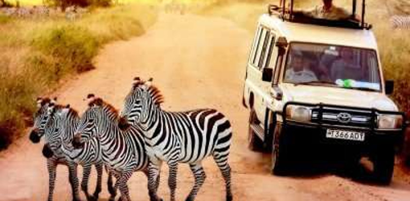 5 days / 4 nights safari - mid range