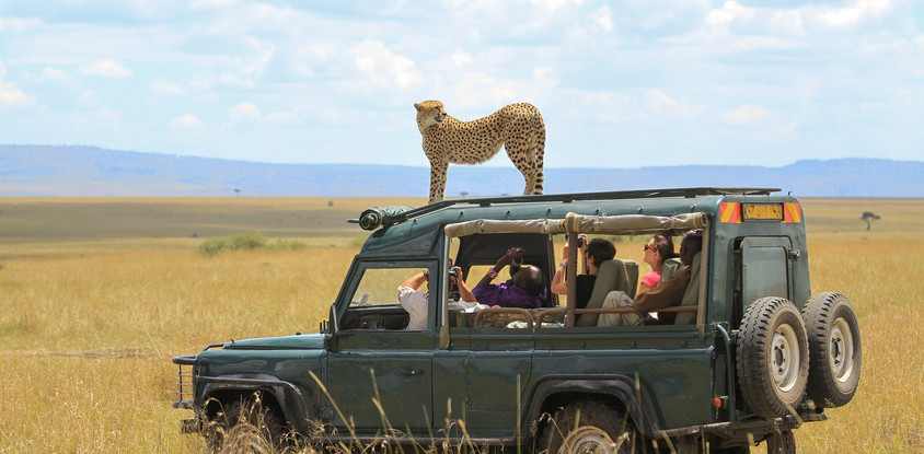 6-day serengeti wildebeest migration expedition