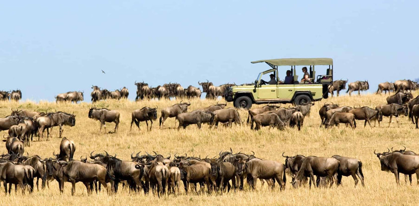 5-day serengeti wildebeest migration camping expedition