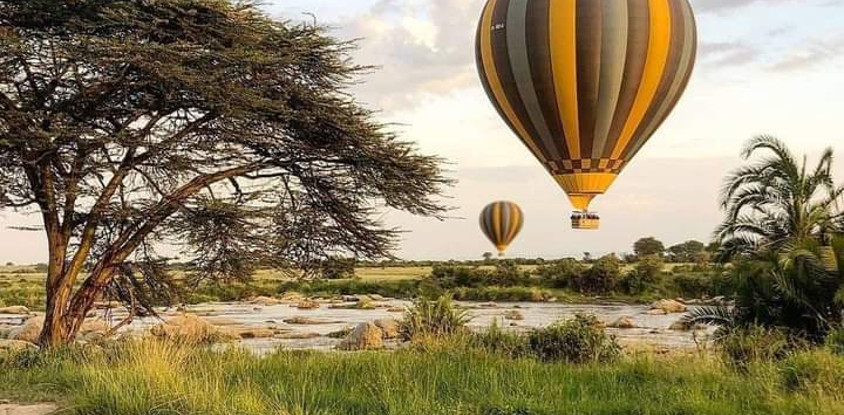 6-day wildlife safari across kenya’s top national parks