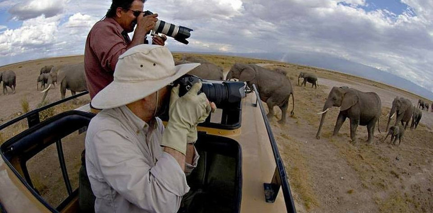 6 daysTanzania Affordable Safari 