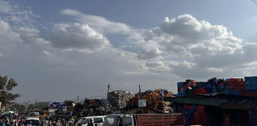 Addis ababa half-day city tour