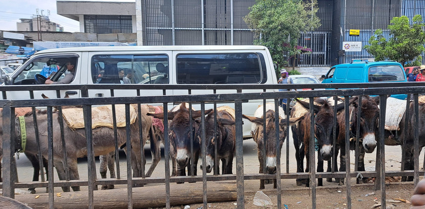 Addis ababa snapshot: half city exploration 