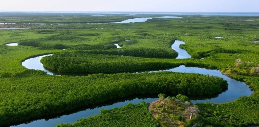 Visiter le delta du saloum