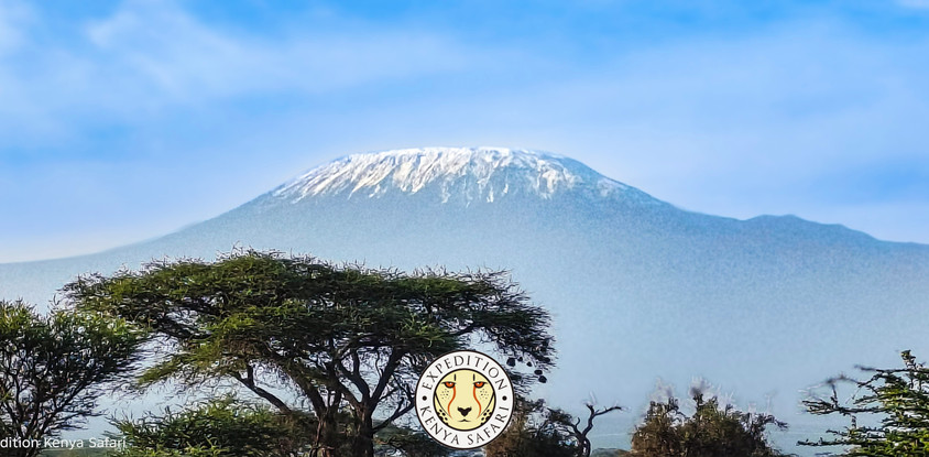 Amboseli home of the giants safari