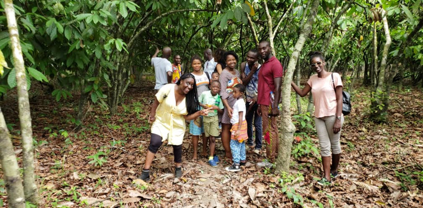 Au cœur de la filière cacao