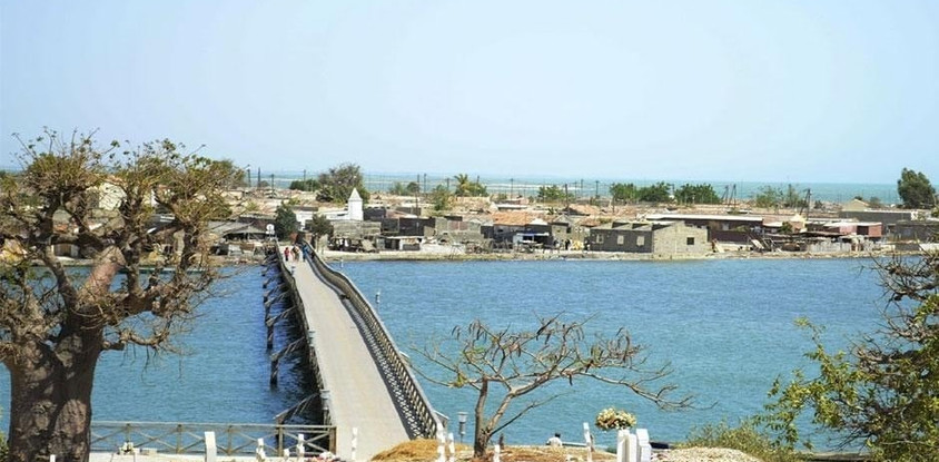 Balade sur l'ile aux coquillages