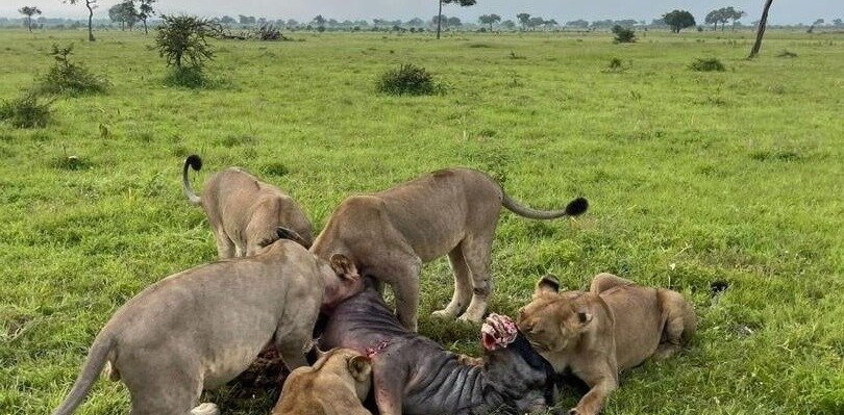 Baraza