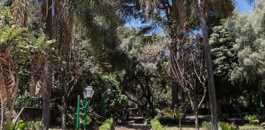 Beyrouth Parc