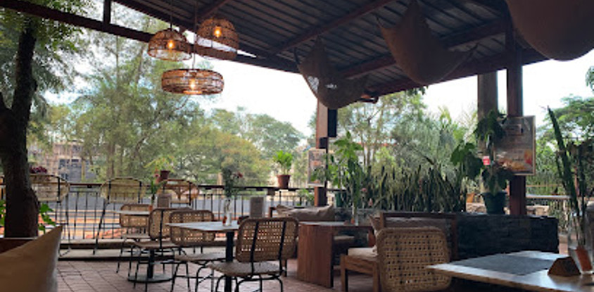 Cafe Ark