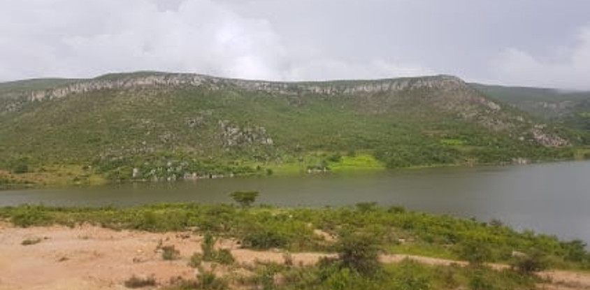 Casa Verde