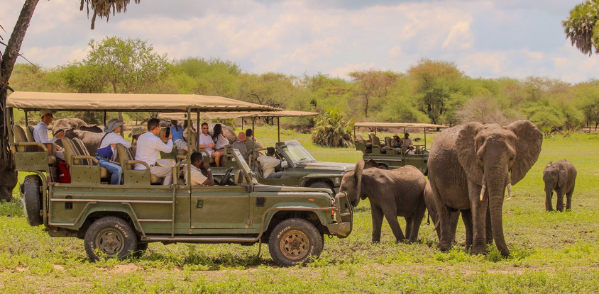 Day trip - selous day safari tour