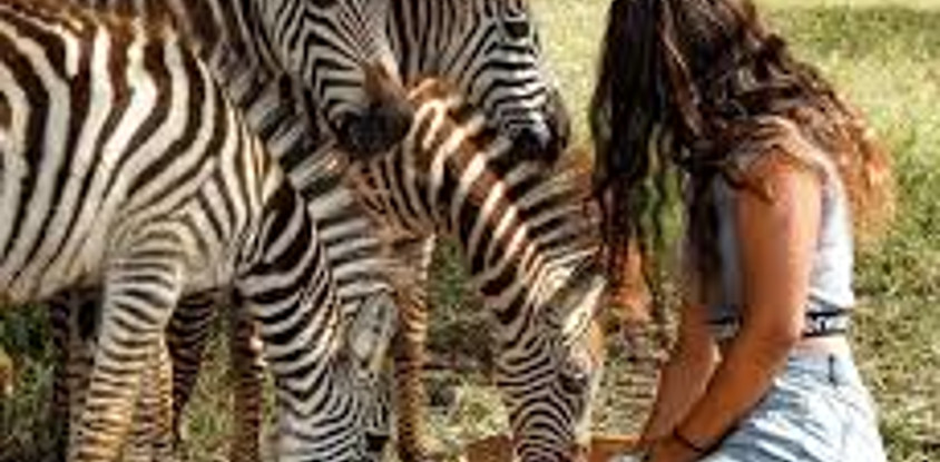 Day-trip to serval wildlife