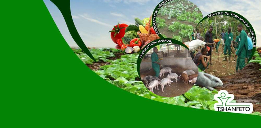 ferme-pedagogique-tshanfeto-657e27da8f95b.jpg