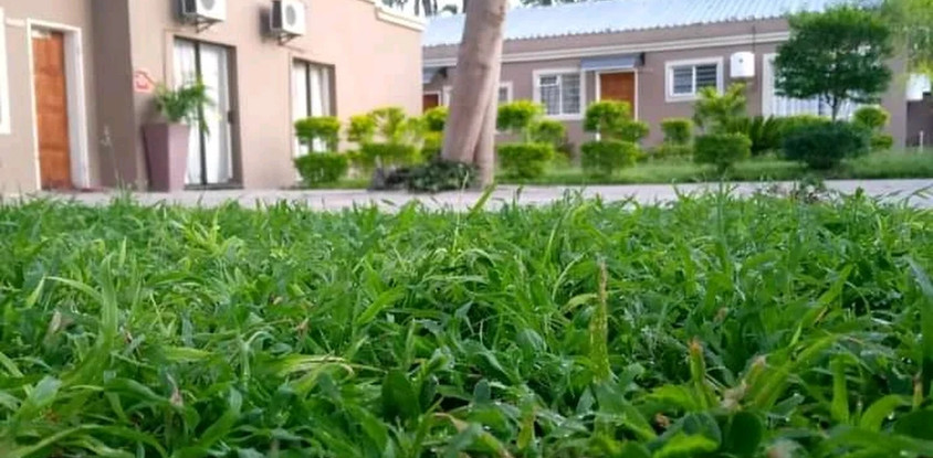 First Choice Apartments