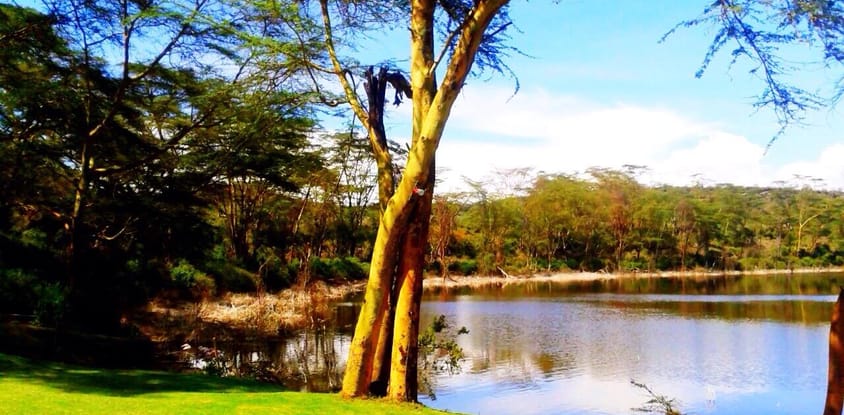 Fish Eagle Inn