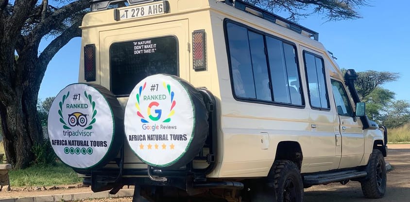 From arusha in tanzania: discover 3-day group budget safari (serengeti & ngorongoro)