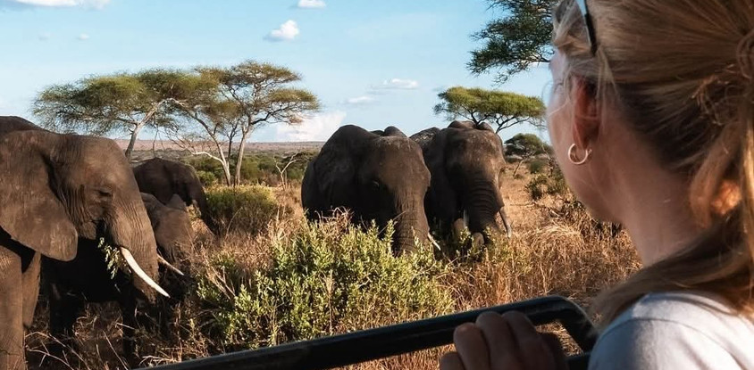 Full-day trip to tarangire national park