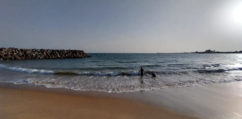 Garden DONA BEACH