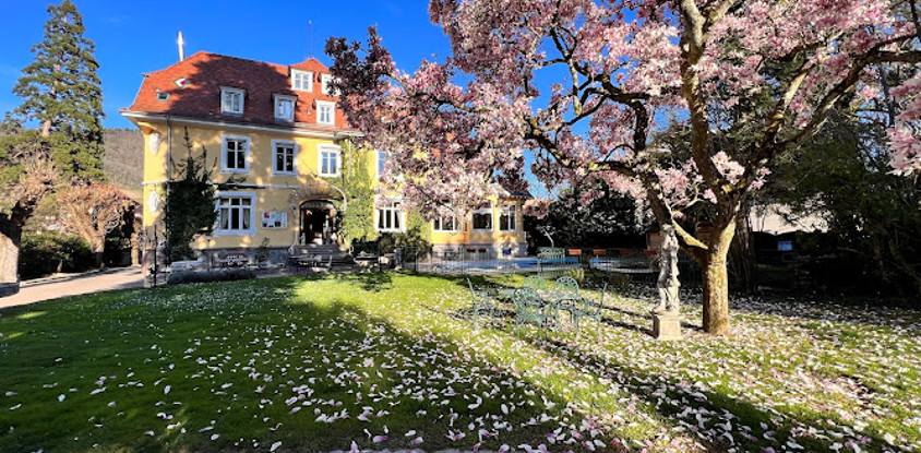 Hotel Du Parc