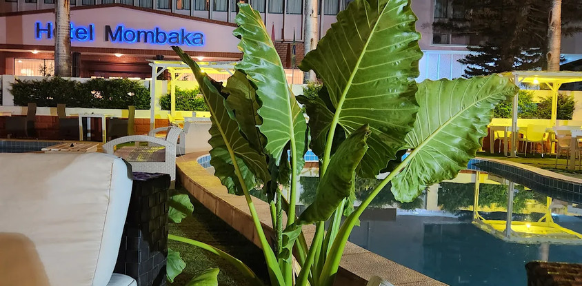 Hotel Mombaka