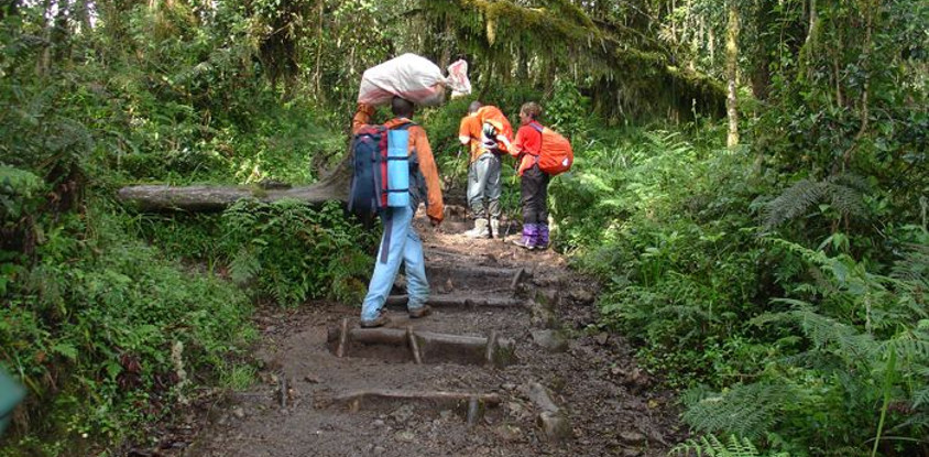 Kilimanjaro 1 day short hike