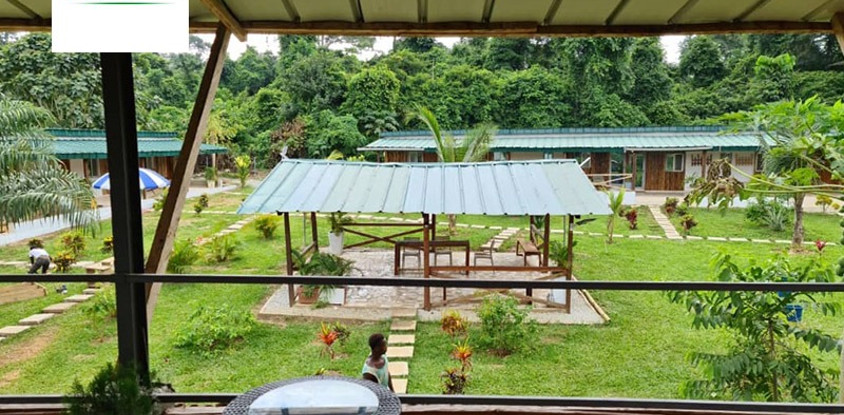 La Cabane Verte