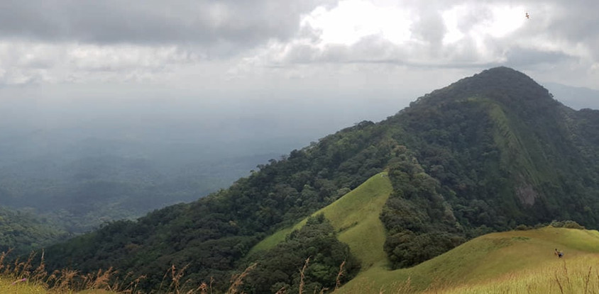 Le Mont Nimba