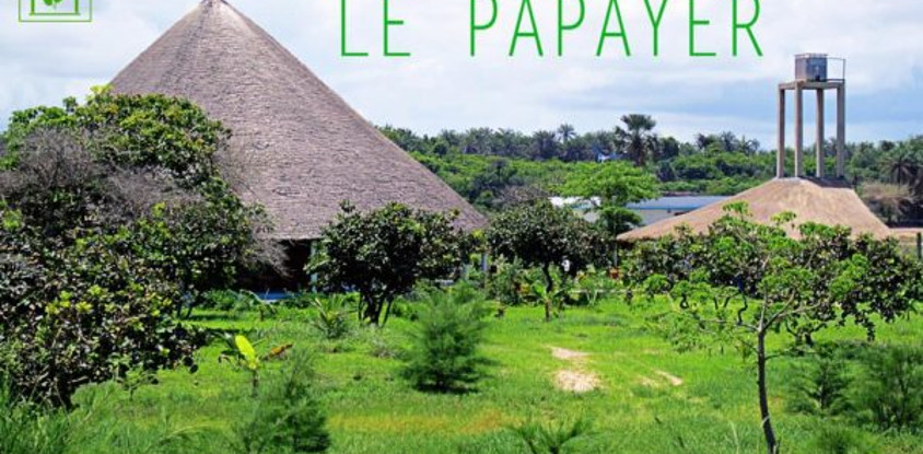 Le papayer ecolodge