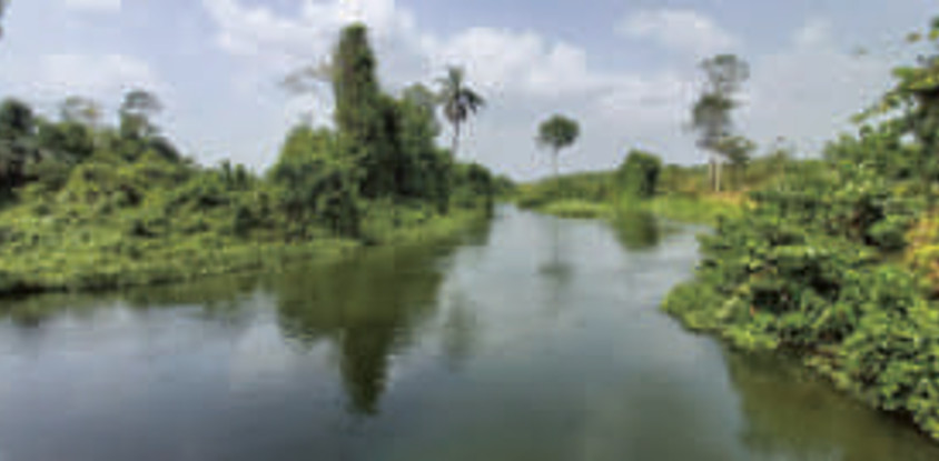Le refuge du Bandama