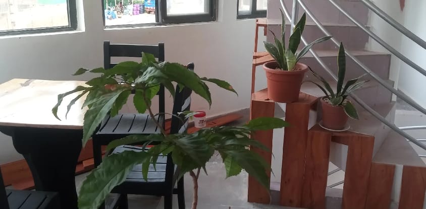 Le Triomphe Bar-Restaurant