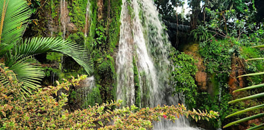 Les Cascades Du Mfoundi