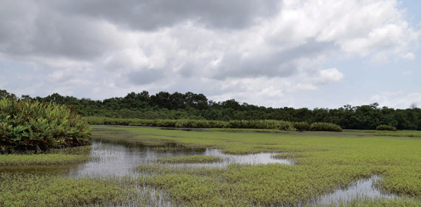 Les îles ehotilé