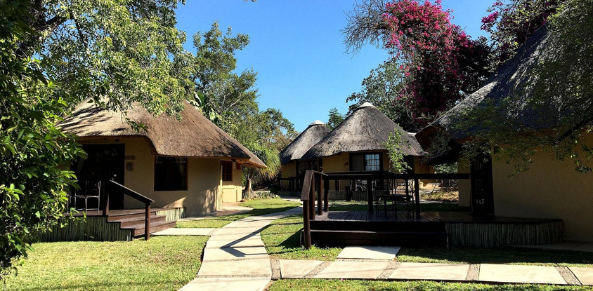 Lodge elephant plains