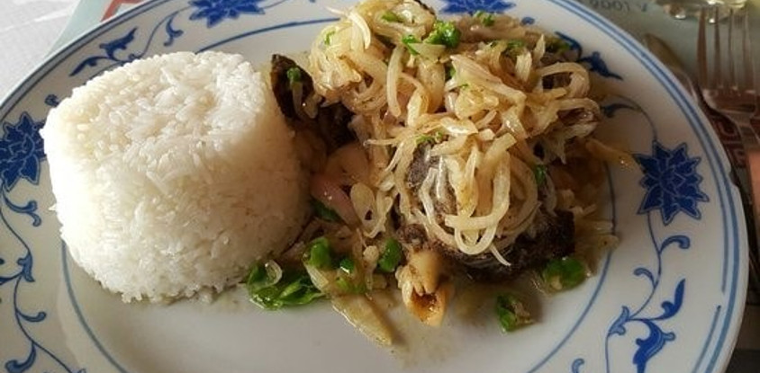 Maquis Pili-Pili