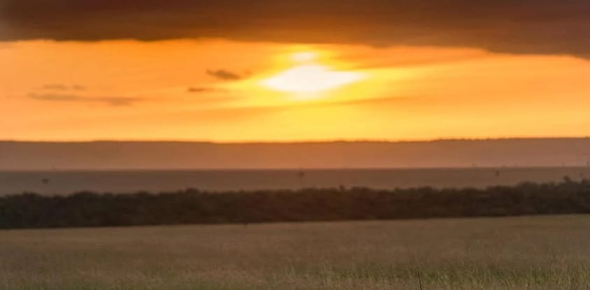 Masai mara-lake nakuru budget safari