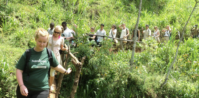 Materuni waterfalls day trip