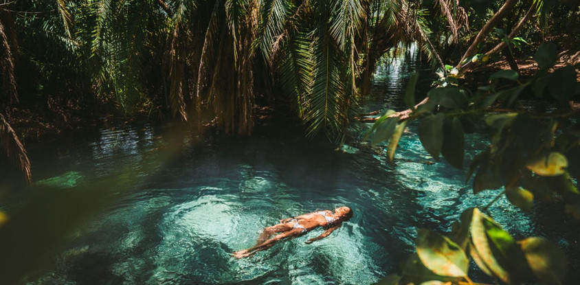 Kikuletwa (chemka) hot springs day tour