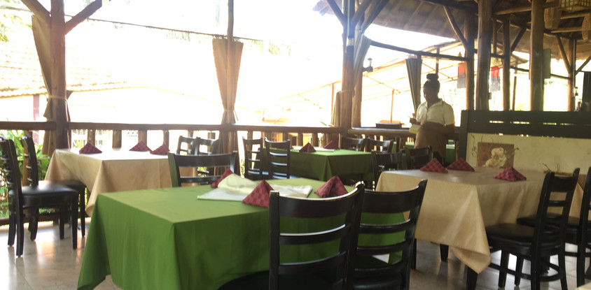Miso Gardens