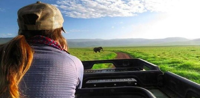 Ngorongoro crater day tour