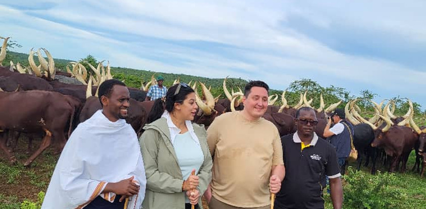 Nturo Safaris 