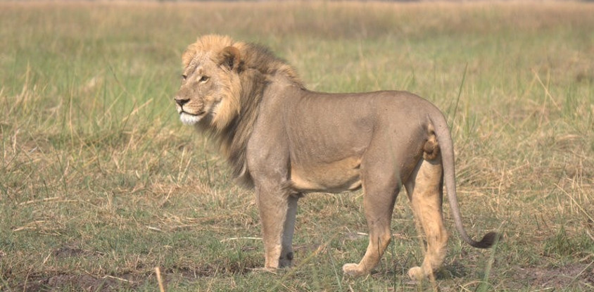 Okavango delta adventure trip