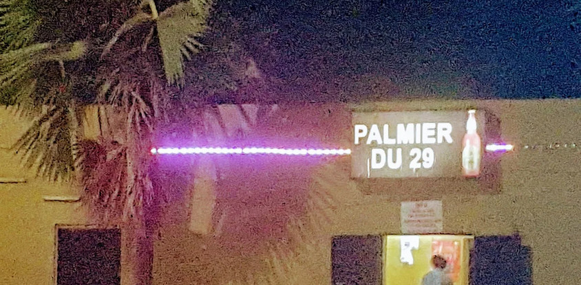Palmier du 29