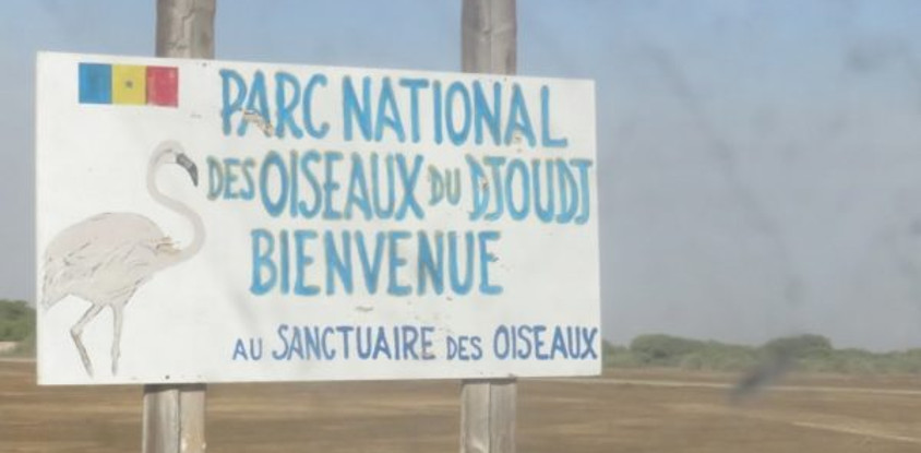 parc-national-des-oiseaux-de-djoudj.jpg