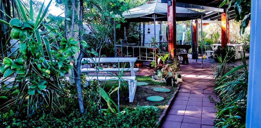 Peter's Place