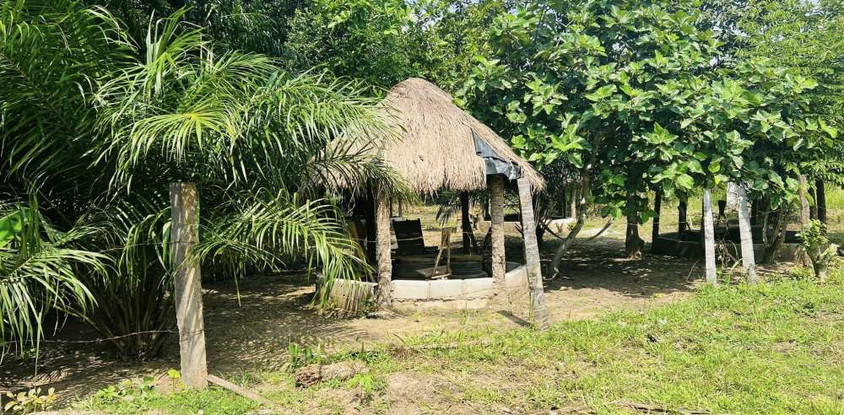 Restobrousse Toumodi