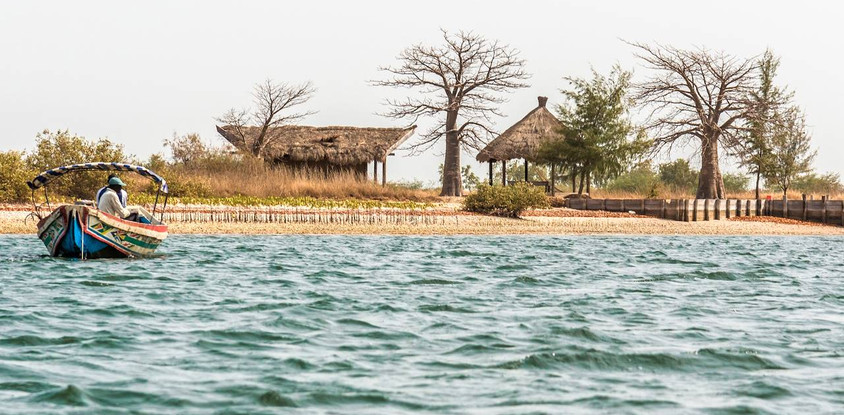 Delta du sine saloum
